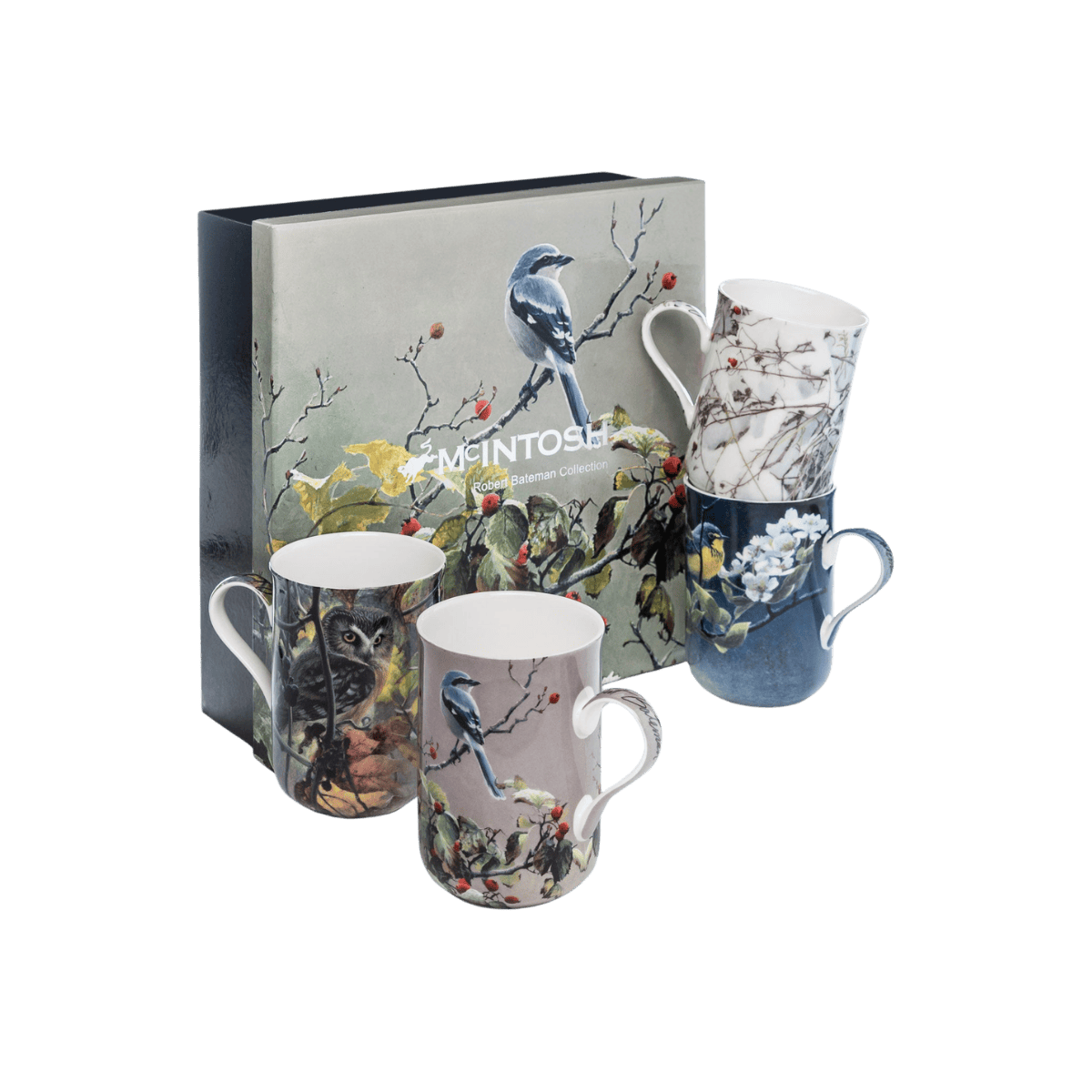 Robert Bateman bird mug set Shrike Pair and Hawthorne Fresh Snow-Cardinal Canada Warbler and Pear Blossoms Saw-Whet Owl and Grapes fine bone china 10.5 oz (310 ml) McIntosh Mugs front view