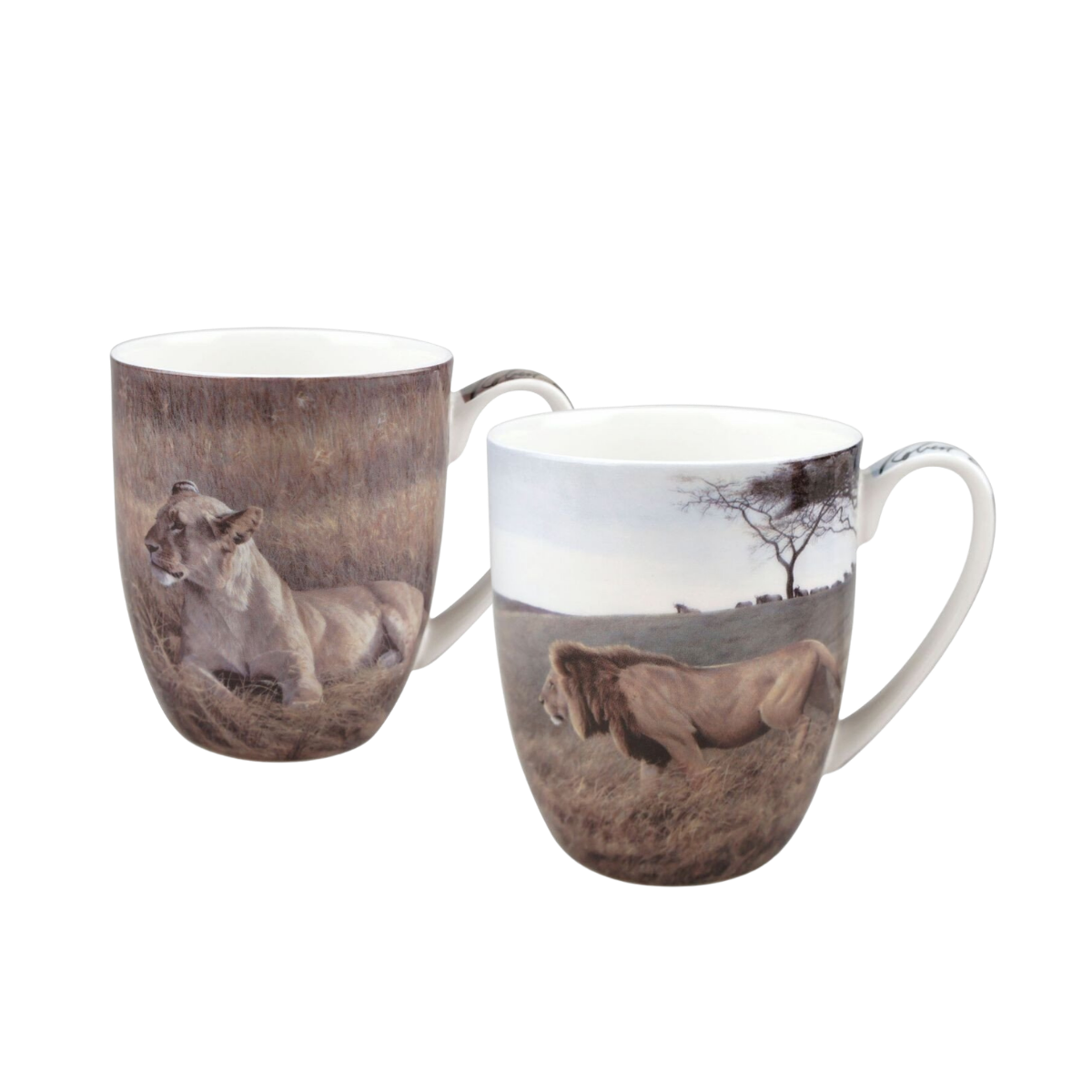 Robert Bateman Lions mug pair fine bone china 12.5 oz (375 ml) McIntosh Mugs front view, handle right