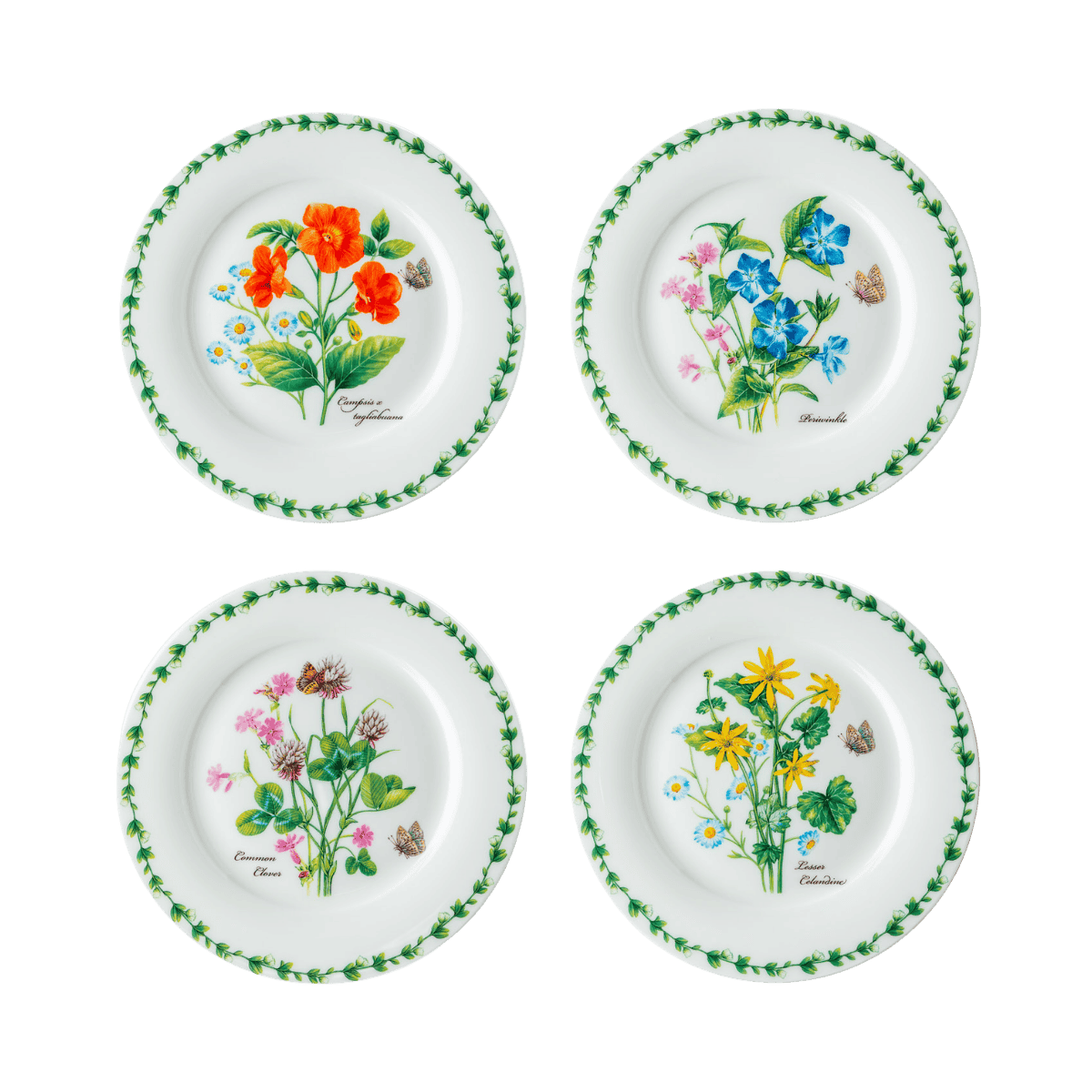 Garden Meadow floral dessert plate set of four, 7.5 inch fine bone china plates with meadow flower designs of Campion, Periwinkle, Common Clover and Celandine, top view