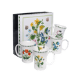 Garden Meadow mug set of four with colourful floral designs, 11 oz (325 ml) fine bone china mugs with gift box, white background