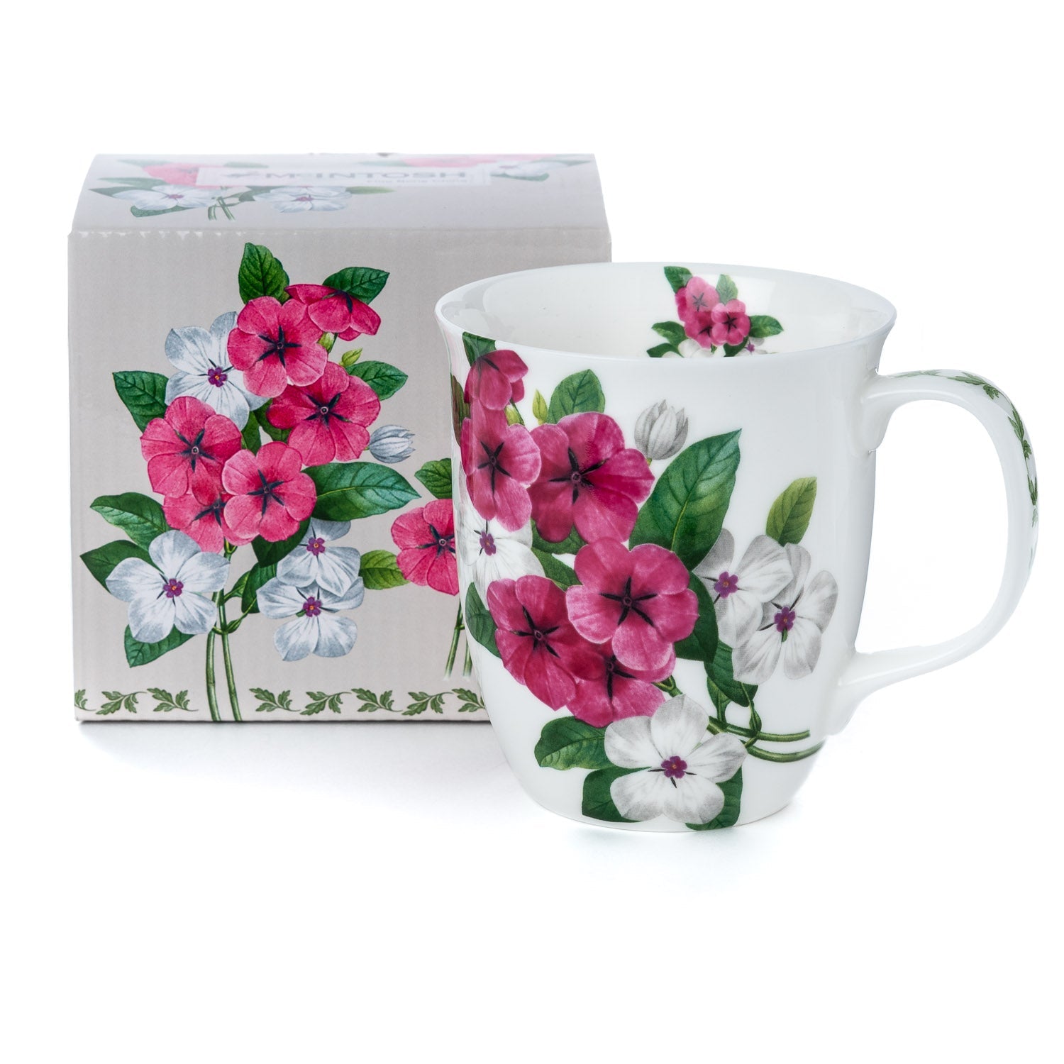 Botanical Flowers Garden Phlox Java Mug with matching gift box, fine bone china