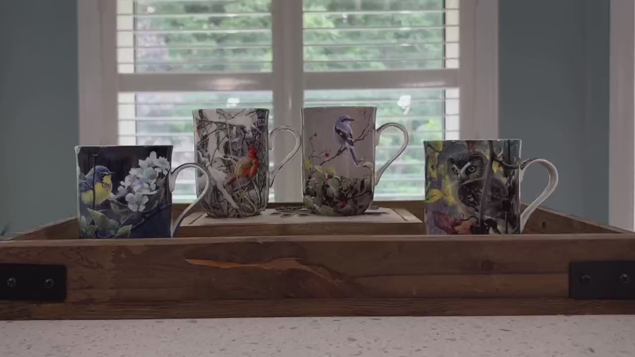 ensemble de 4 tasse oiseaux Bateman