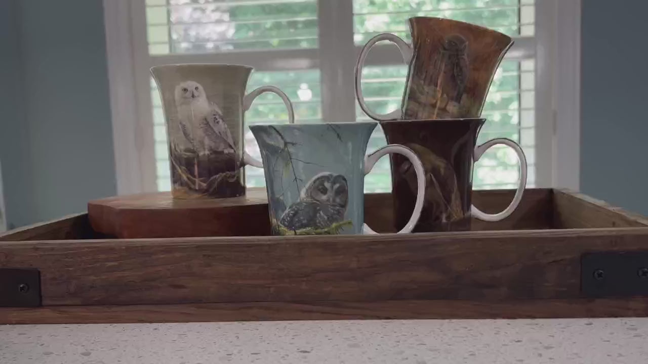 Ensemble de 4 tasses Bateman Hiboux