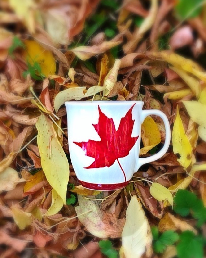 Canada Java Mug, lifestyle image styled in a leaf pile
